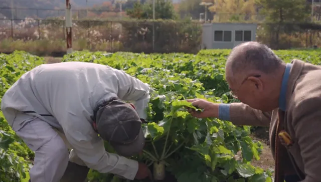 スタッフ イメージ1