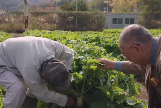 エムアンドエム 仕事イメージ 6